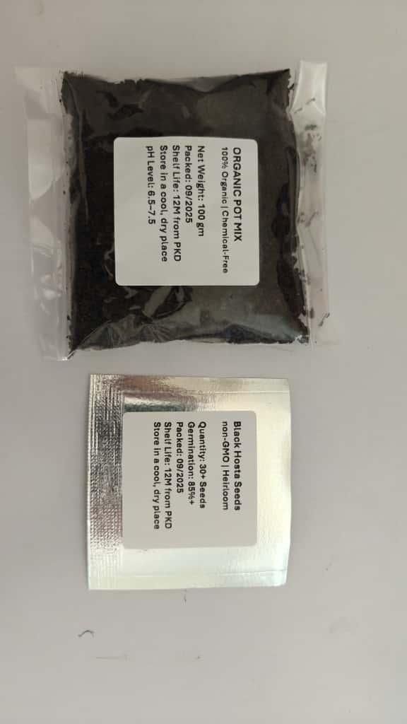 Two packages of a product with labels on a gray background