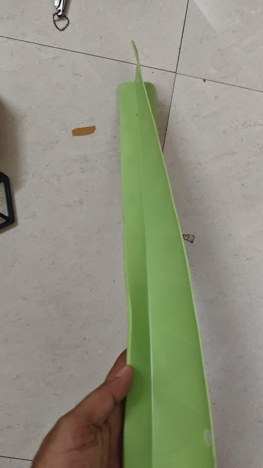 Green leaf held by a hand on a light gray floor