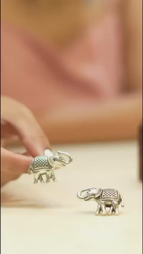 Elephant Necklace Set for Women – Alloy Jewelry with Earrings | Elegant & Stylish Design